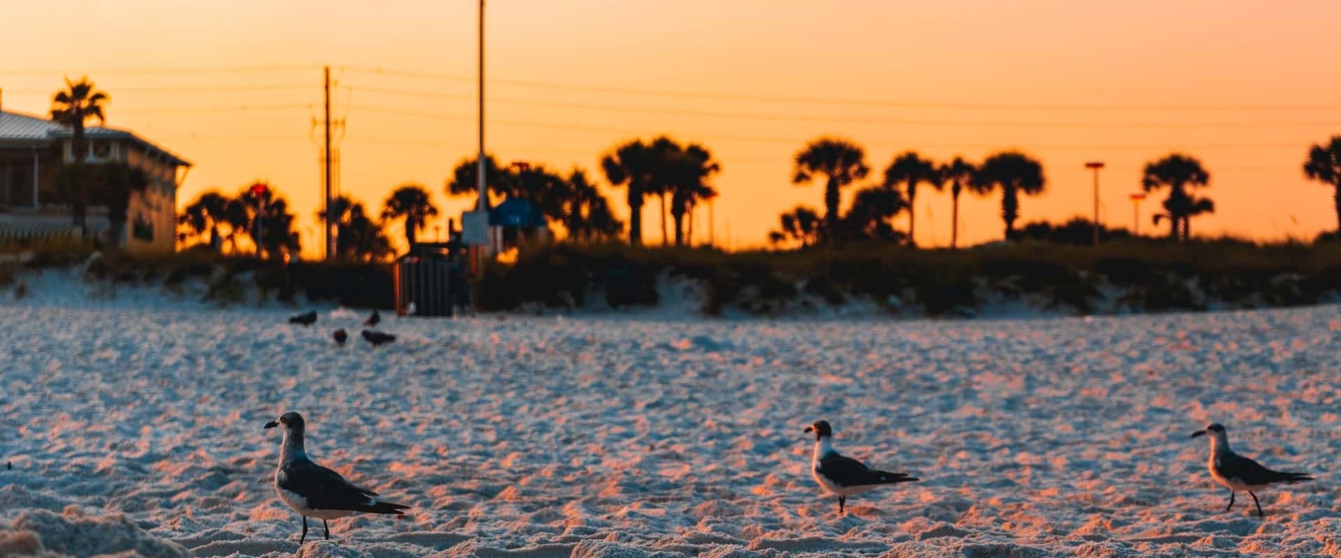 What Can't You Do in Panama City Beach in March?