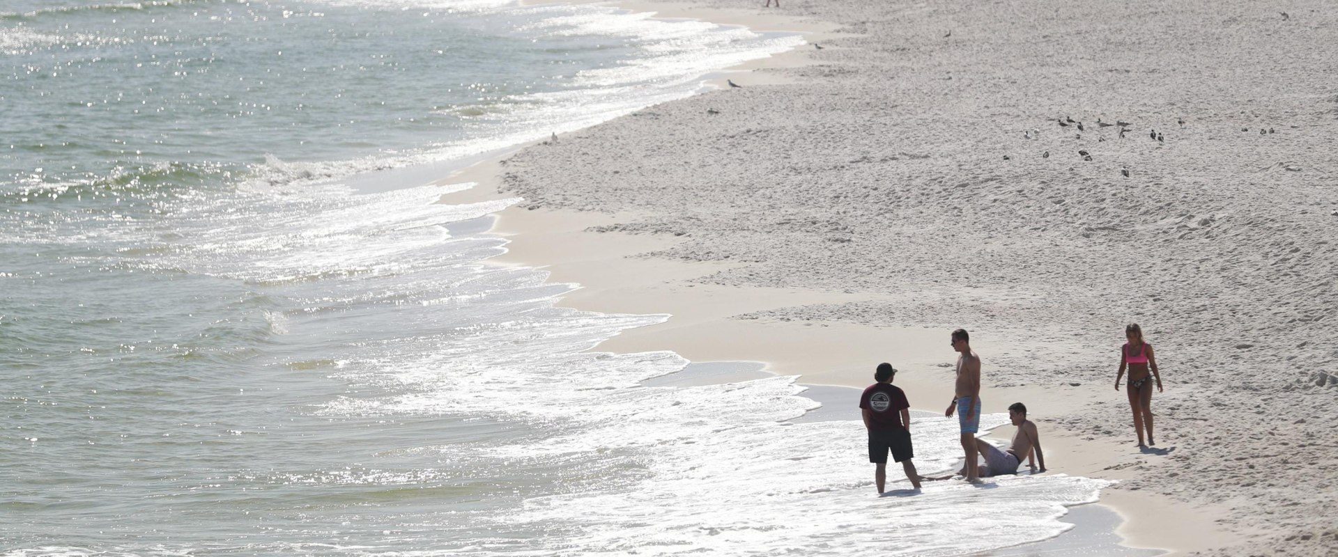 Exploring Panama City Beach: Parking Restrictions, Beach Safety, and More